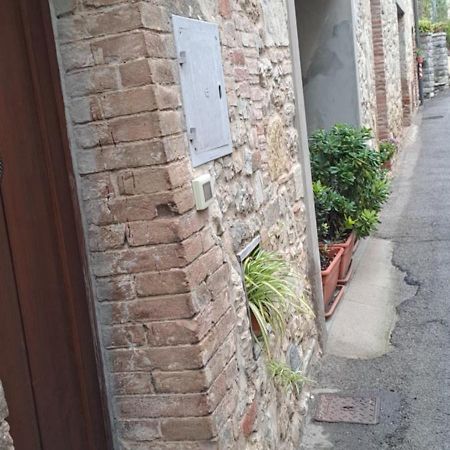 "La Casa Di Maria Luce" Con Terrazza Panoramica Apartamento Gaiole in Chianti Exterior foto