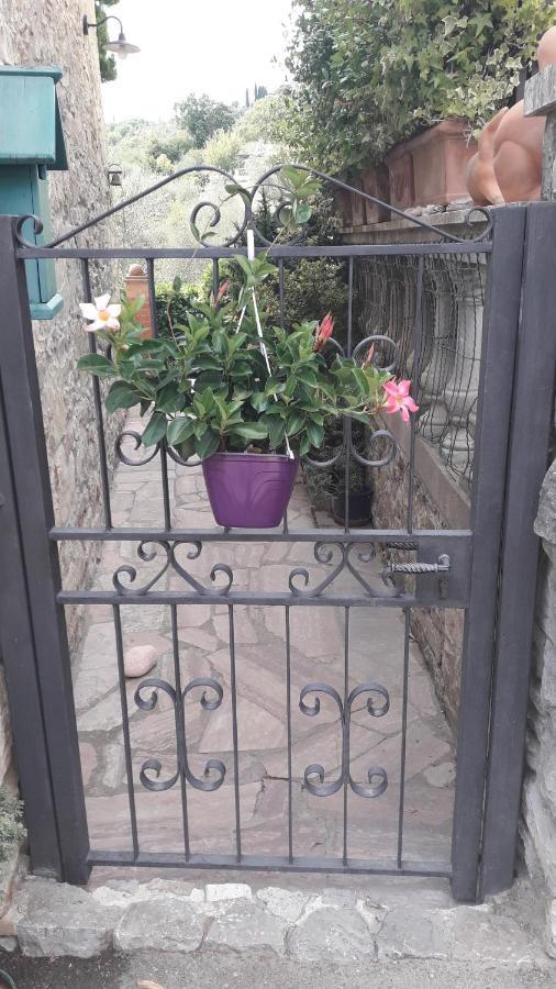 "La Casa Di Maria Luce" Con Terrazza Panoramica Apartamento Gaiole in Chianti Exterior foto