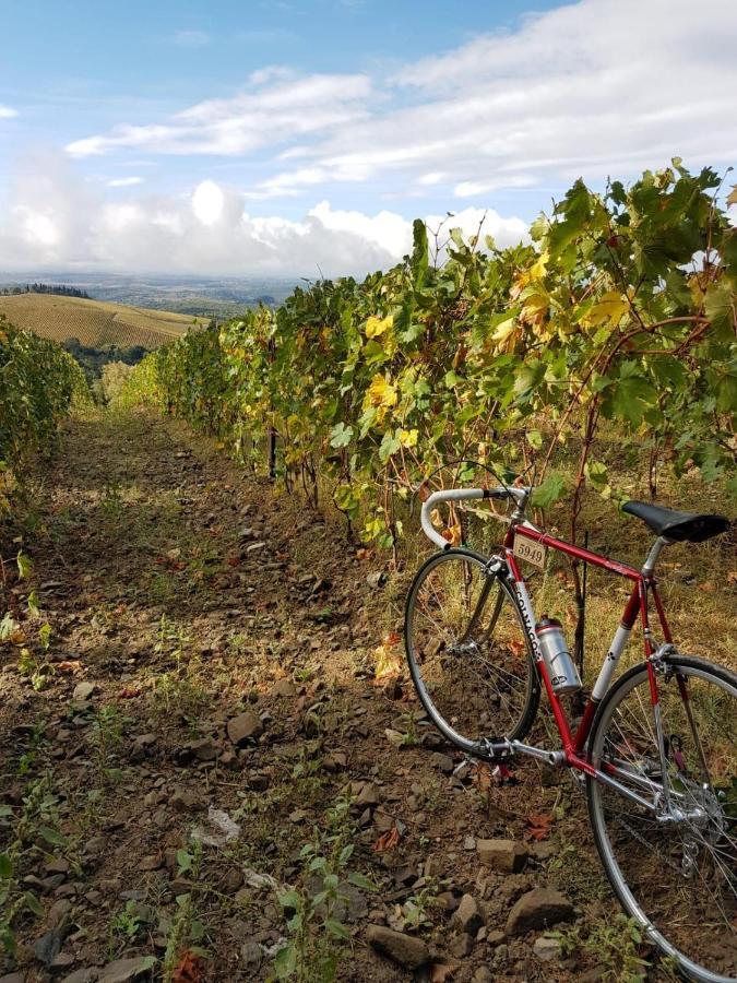 "La Casa Di Maria Luce" Con Terrazza Panoramica Apartamento Gaiole in Chianti Exterior foto